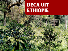 Afbeelding in Gallery-weergave laden, ETHIOPIË KEBENA EA DECAF
