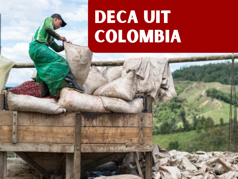 Colombia Huila - DECAF