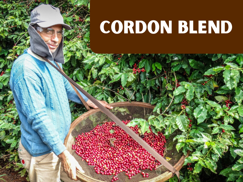 Cordon Blend