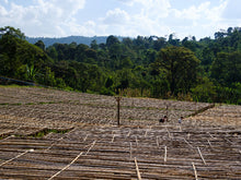 Afbeelding in Gallery-weergave laden, Ethiopië Halo Beriti
